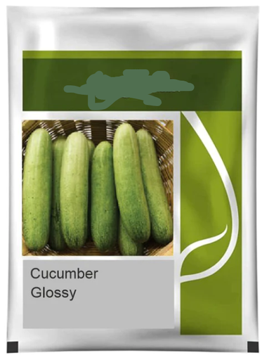 Cucumber Seeds (1 Kg)